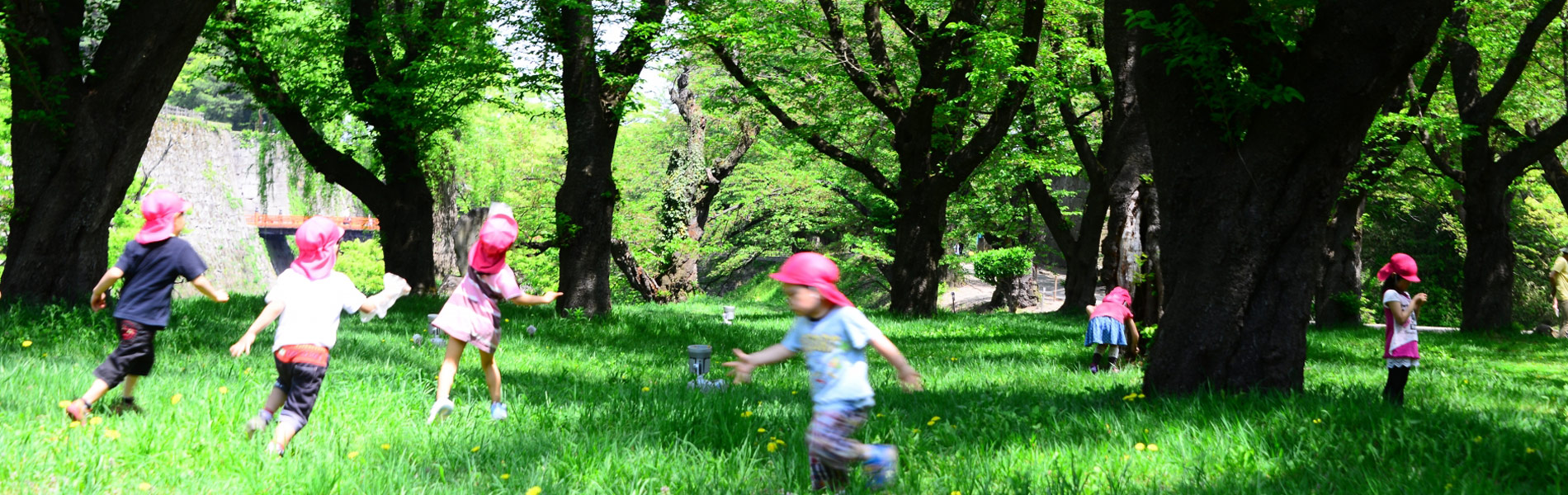 長野市幼稚園 認定こども園連盟 長野市幼稚園 認定こども園連盟のサイトへようこそ